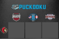 Puckdoku