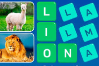 Word Search Puzzle Game