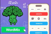 WordMix