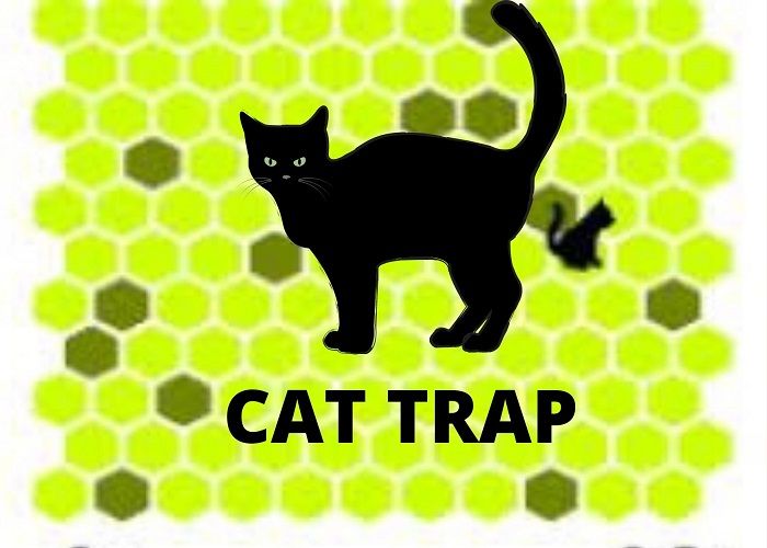 Trap The Cat em Jogos na Internet