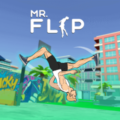 Mr Flip