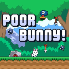 Poor Bunny